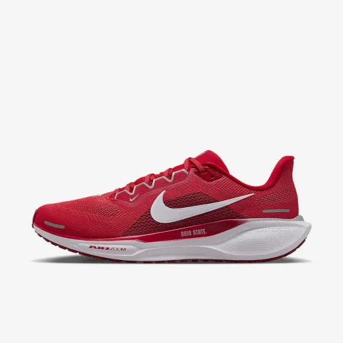 Ohio State Pegasus 41 мужские Nike College Road Running Кроссовки цвет красный