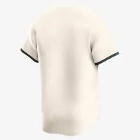 Michigan State Spartans мужские Nike College Limited Baseball Jersey цвет коричневый