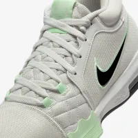 Nike LeBron Witness VIII баскетбольные Кроссовки цвет серый