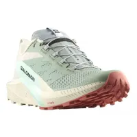 Кроссовки для бега Мужские Salomon SENSE RIDE 5 (472117)