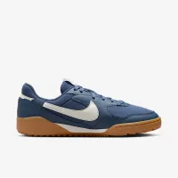 Nike Terra Manta жіноча Кросівки блакитний