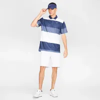 Nike Victory+ чоловічі Dri-FIT для гольфу Polo блакитний
