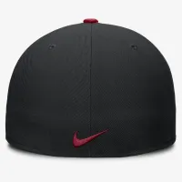 Arizona Diamondbacks True мужские Nike Dri-FIT MLB Fitted Hat цвет черный