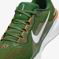 FAMU Pegasus 41 мужские Nike College Road Running Кроссовки цвет зеленый