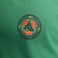 Nike Giannis чоловічі Dri-FIT баскетбольні футболка колір зелений