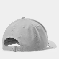 Шапка 4F Strapback WSS24ACABU26625S - Серая