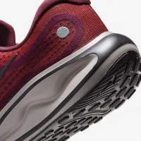 Nike Journey Run мужские Road Running Кроссовки цвет красный
