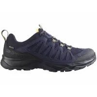 Кроссовки Мужские Salomon EOS GTX Gore-Tex (417194)