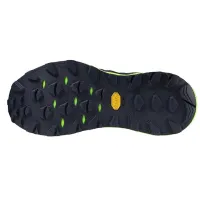 Кроссовки для бега w terenie Mizuno WAVE MUJIN 10 (J1GJ247063)