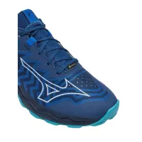 Кроссовки для бега w terenie Mizuno WAVE DAICHI 8 GTX (J1GJ245651)