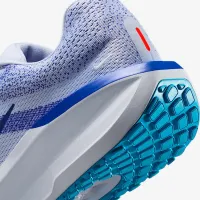 Nike Winflo 11 чоловічі Road Running Кросівки (Extra Wide) колір сірий