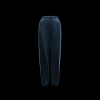 Nike Sportswear Phoenix Fleece жіноча З високою талією оверсайз Sweatpants блакитний