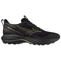 Мужские Кроссовки для бега MIZUNO WAVE RIDER GTX 2 (J1GC247901)