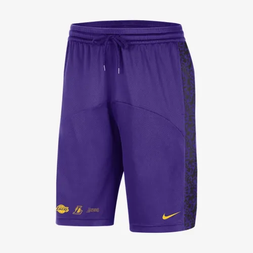 Los Angeles Lakers Starting 5 Courtside чоловічі Nike Dri-FIT NBA Graphic шорти колір фіолетовий