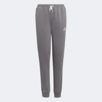 Штаны adidas Entrada 22 Sweat Pants H57519 - Серые