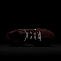 Nike Winflo 11 PRM жіноча Road Running Кросівки Orange