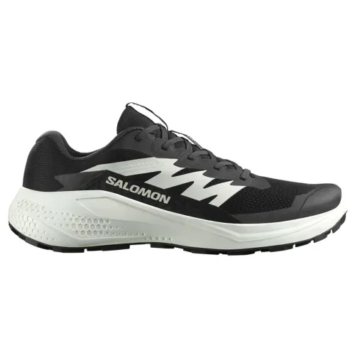 Кроссовки для бега Мужские SALOMON ALPHAGLIDE (478010)
