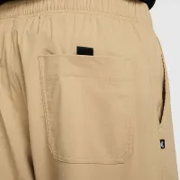 Nike SB Kearny Cargo Skate Pants колір коричневий