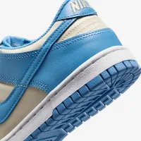 Nike Dunk Low Big детские Кроссовки синий