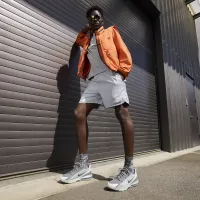 Nike Air Max Pulse Roam чоловічі Кросівки колір сірий