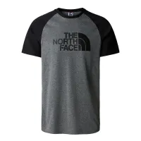 Футболка The North Face Raglan Easy T937FVJBV - Серая