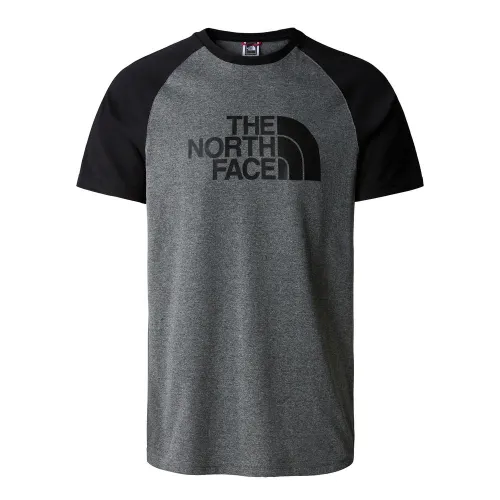 Футболка The North Face Raglan Easy T937FVJBV - Сіра