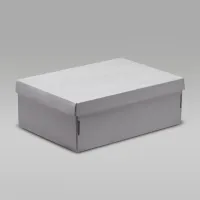 Nike Air Jordan 1 Retro High SP жіноча Кросівки колір коричневий