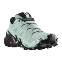 Кросівки для бігу w terenie SALOMON SPEEDCROSS 6 GTX Gore-tex (417435)