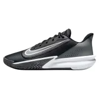 Кроссовки do баскетбол NIKE AIR PRECISION VII (FN4322 005)