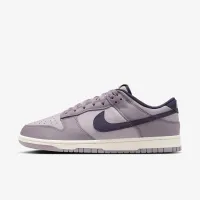 Nike Dunk Low Retro SE мужские Кроссовки цвет серый