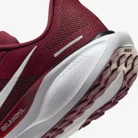 Oklahoma Pegasus 41 мужские Nike College Road Running Кроссовки цвет красный