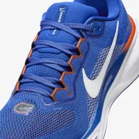 Florida Pegasus 41 чоловічі Nike College Road Running Кросівки блакитний