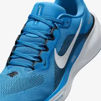 Nike Pegasus 41 NFL Carolina Panthers мужские Road Running Кроссовки синий