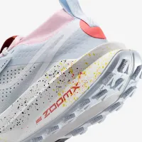Nike Zegama 2 чоловічі Trail Running Кросівки колір сірий