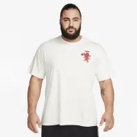 Nike LeBron мужские Max90 футболка цвет серый