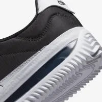 Nike BRSB Skate Кросівки колір чорний