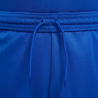 Nike Trophy23 Big дитячі Dri-FIT шорти блакитний