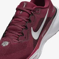 Morehouse Pegasus 41 мужские Nike College Road Running Кроссовки цвет красный