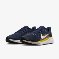 Michigan Pegasus 41 мужские Nike College Road Running Кроссовки синий