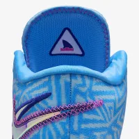 Nike LeBron NXXT Genisus баскетбольные Кроссовки синий