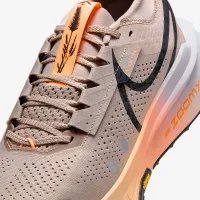 Nike Zegama 2 мужские Trail Running Кроссовки цвет коричневый