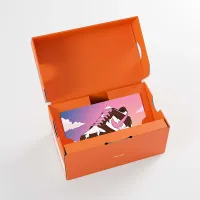 Nike Gift Card Mailed in a Mini Nike Shoebox многоцветный