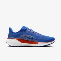 Florida Pegasus 41 чоловічі Nike College Road Running Кросівки блакитний