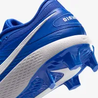 Nike Diamond Gamer MCS Baseball Кроссовки синий