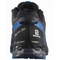 Кроссовки для бега Мужские Salomon XA PRO 3D V8 GTX Gore-Tex (417353)