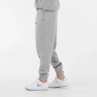 Штани Nike Park 20 Fleece CW6907-063 - Сірі