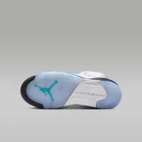 Nike Air Jordan 5 Retro 