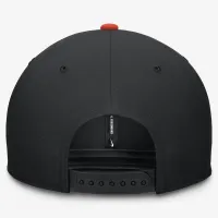 San Francisco Giants Everцвет зеленый Pro мужские Nike Dri-FIT MLB Adjustable Hat цвет черный