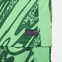 FC Barcelona 2024/25 Stadium Goalkeeper чоловічі Nike Soccer Replica Long-Sleeve Jersey колір зелений