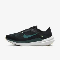 Nike Winflo 10 мужские Road Running Кроссовки цвет черный